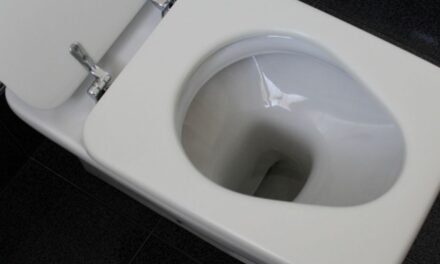 Καζανάκι τουαλέτας – Κοροναϊός : Οι κίνδυνοι αν το πατήσετε χωρίς να κλεισετε το καπάκι