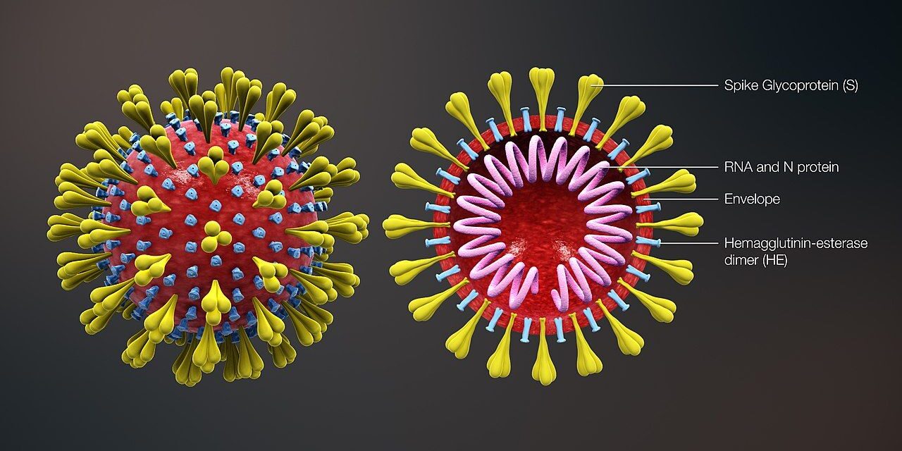 Σύγκριση του απολογισμού θανάτων της πανδημίας με άλλους θανατηφόρους ιούς