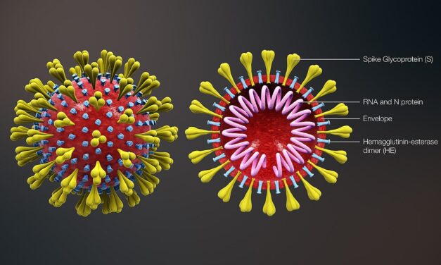 Η περίπλοκη συνύπαρξη COVID-19 και γρίπης