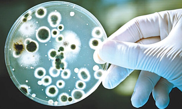 Ενδονοσοκομειακές λοιμώξεις: Αιτία θανάτου στο 33% των Covid ασθενών