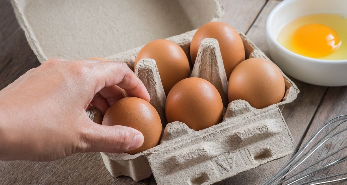 Πόση πρωτεΐνη έχει ένα αυγό – Τι συμβαίνει όταν μαγειρεύεται